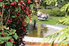 IMG-20220912-WA0012